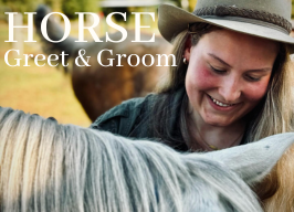 Equine Therapy ~ Horse Greet & Groom - with Alina, Natasha & Shine - 4pm $55pp