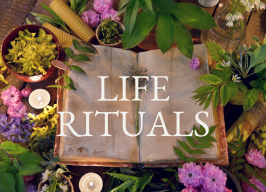 Soul Care Workshop: Life Rituals to Reclaim the Best of YOU ~ every Thursday from 1pm-2pm with Sharon, $115pp